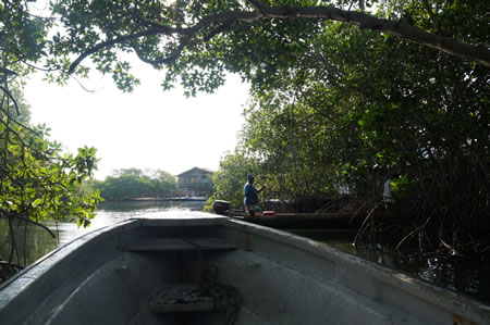 paisaje 21